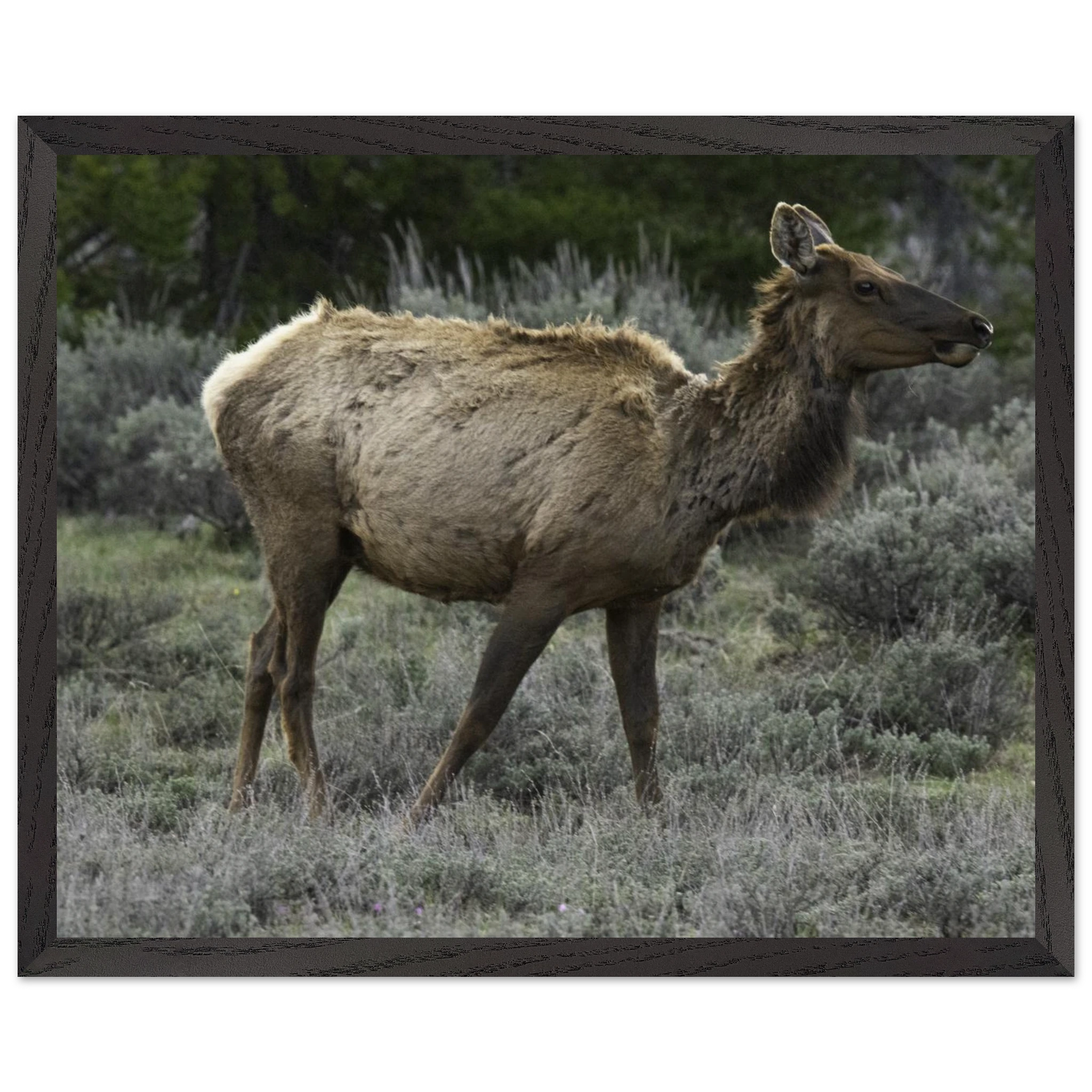19478dad-cf98-4617-8d15-0be46f755c93