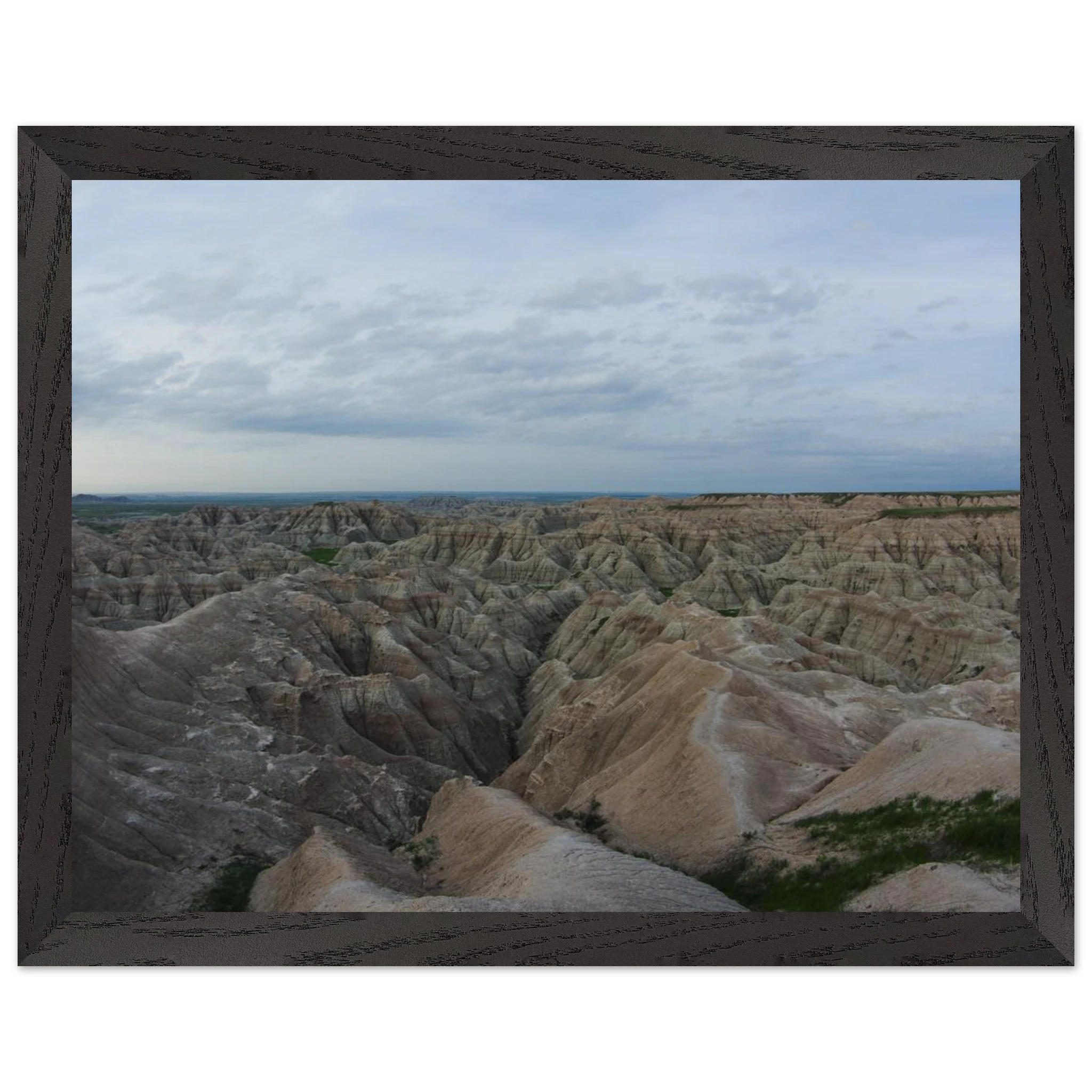 1b706489-f121-43cd-945c-e18f4ed99729