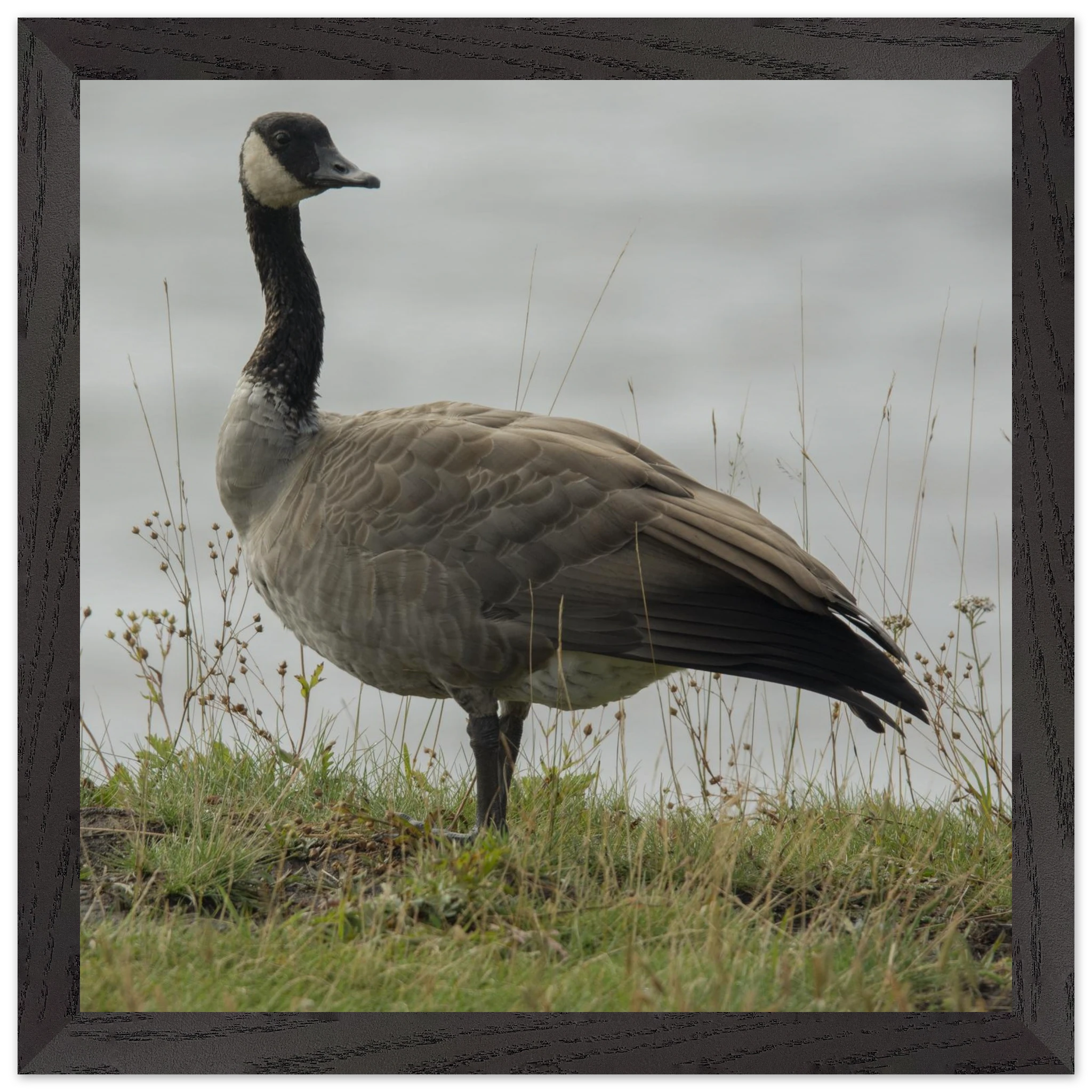 d7785c56-1b14-403c-ba59-163be8e515d3