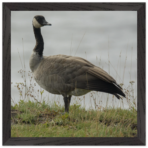 d7785c56-1b14-403c-ba59-163be8e515d3